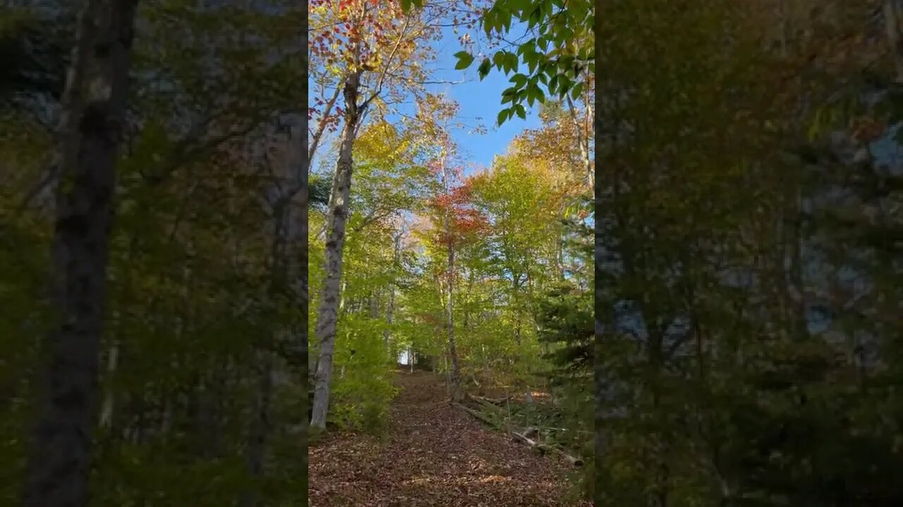 Beautiful Fall Colors in Canada