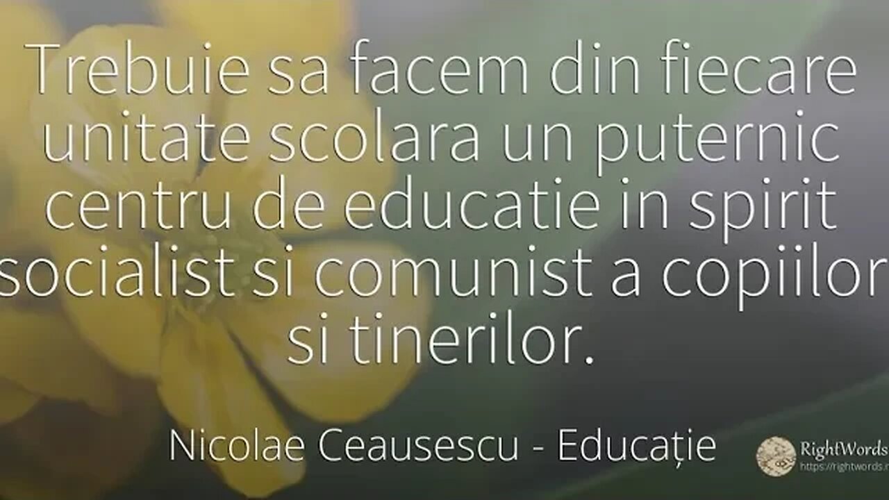 #Socialism : O discuție cu economistul Vladimir Topan