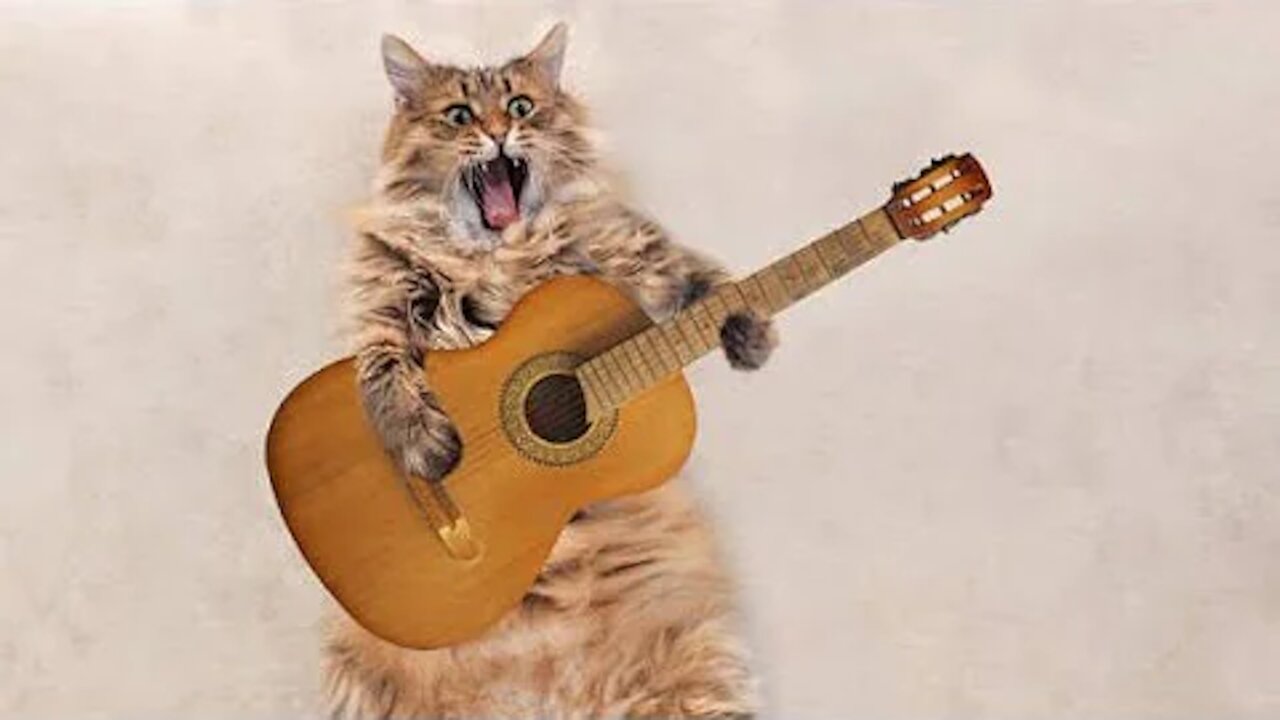 Cute Cat Singing Ah Aaaaa aa - Cute Animal Video