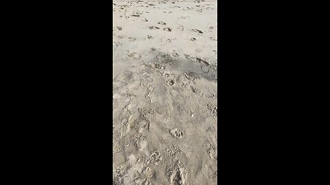 The beach at Nags head North Carolina