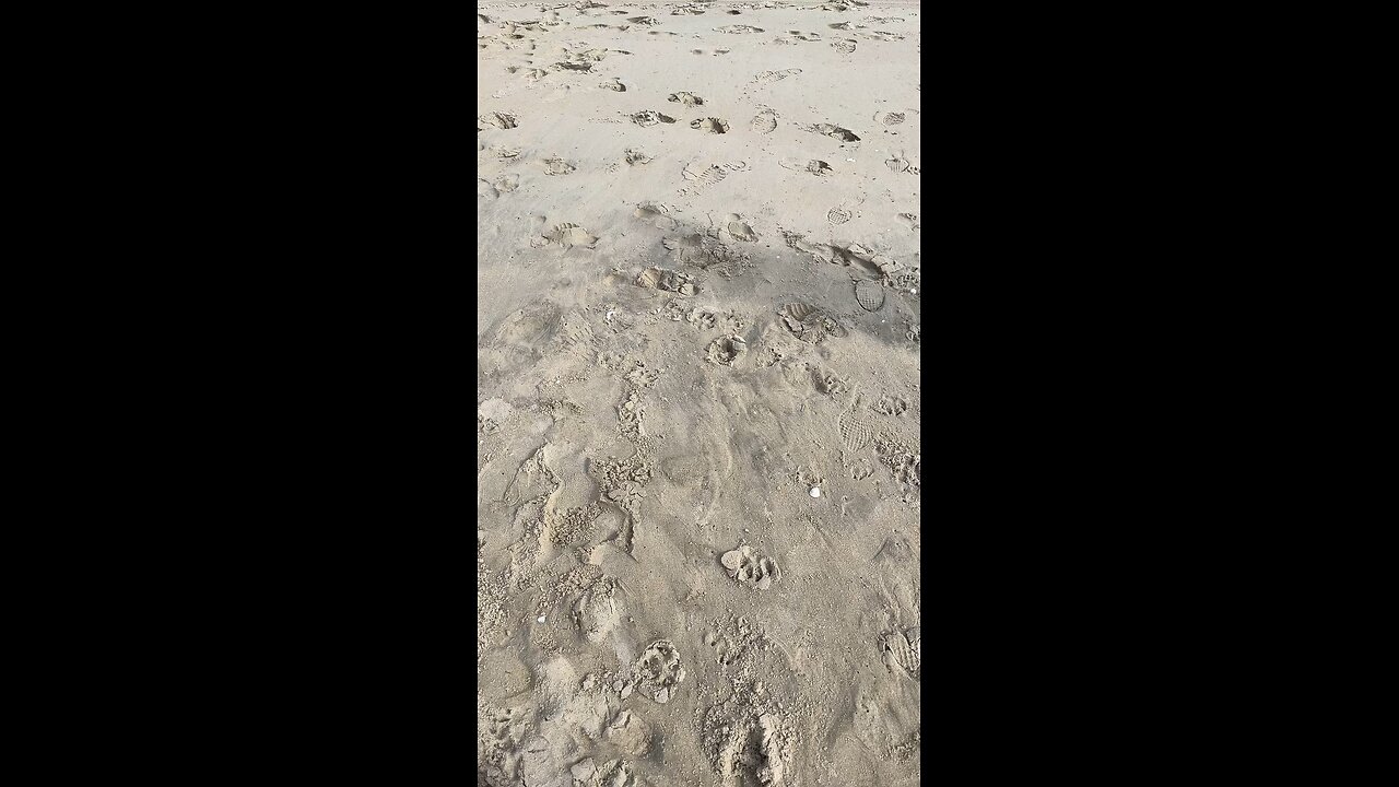 The beach at Nags head North Carolina