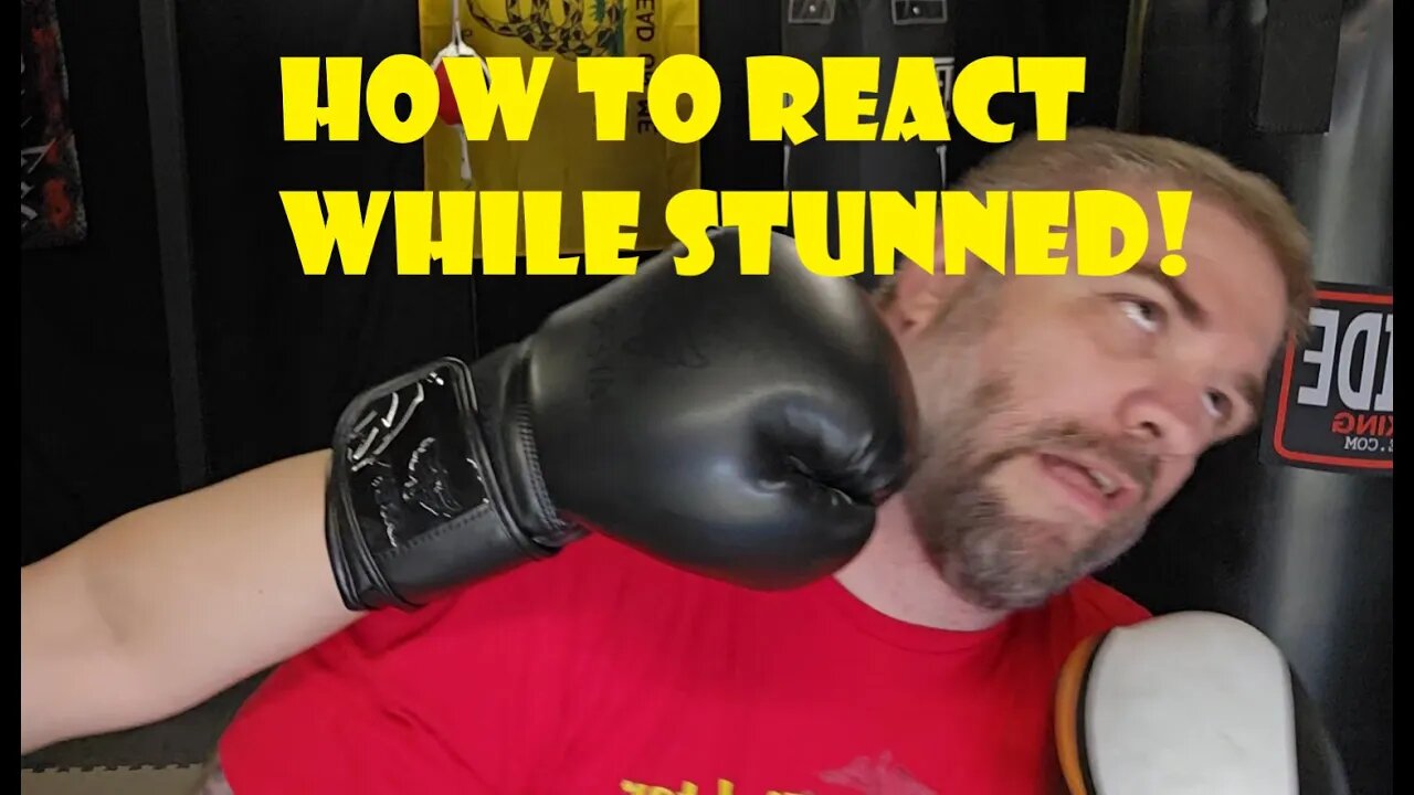 How to React While Stunned in Boxing