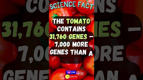 🔬Amazing Science Facts! 👀 #shorts #shortsfact #science #sciencefacts #scientificfact #tomato #genes