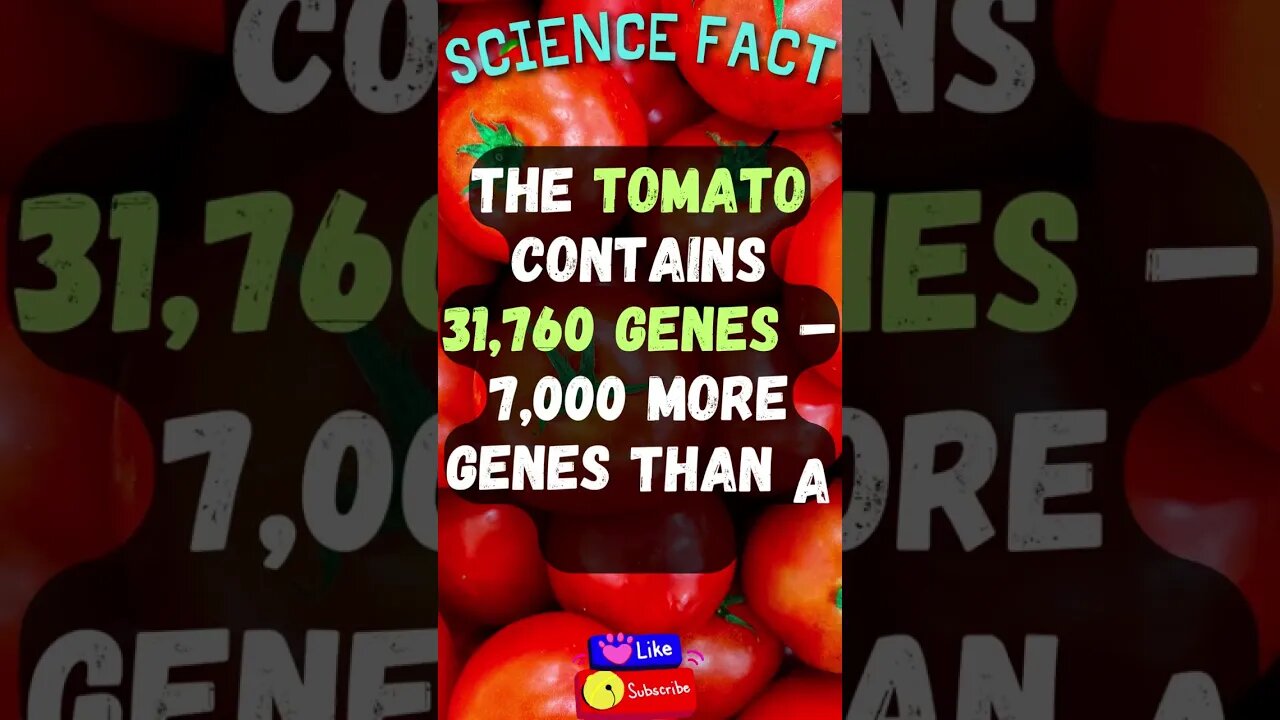 🔬Amazing Science Facts! 👀 #shorts #shortsfact #science #sciencefacts #scientificfact #tomato #genes