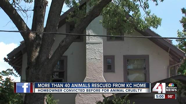 More than 40 animals rescued from KC home