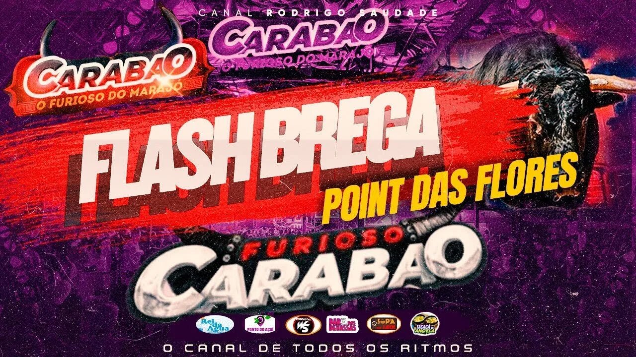 CARABAO FLASH BREGA SÓ AS MELHORES NO POINT DAS FLORES I DJ SILVINHO ok