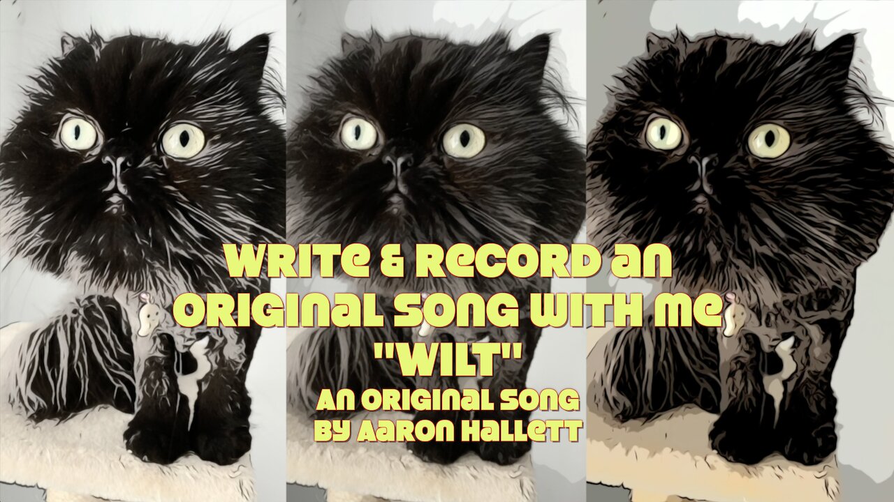 Write & Record an Original Song With Me "Wilt" an Original Song by Aaron Hallett