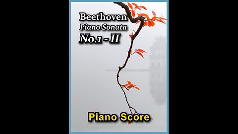 Beethoven Piano Sonata No.1 - 2nd Mov.