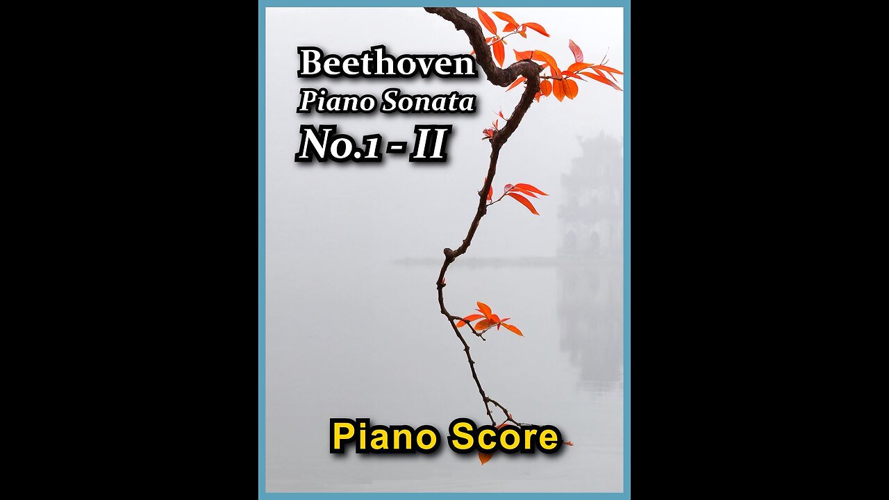 Beethoven Piano Sonata No.1 - 2nd Mov.