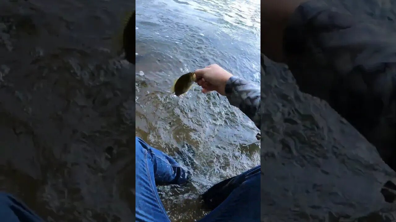 Caution: ROCKS MAY BE SLIPPERY 🤦♂️🤣🤣 #fishingfail #fail