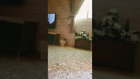 ٢٣ أكتوبر، ٢٠٢٢