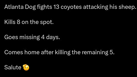 This dog is the definition of a warrior