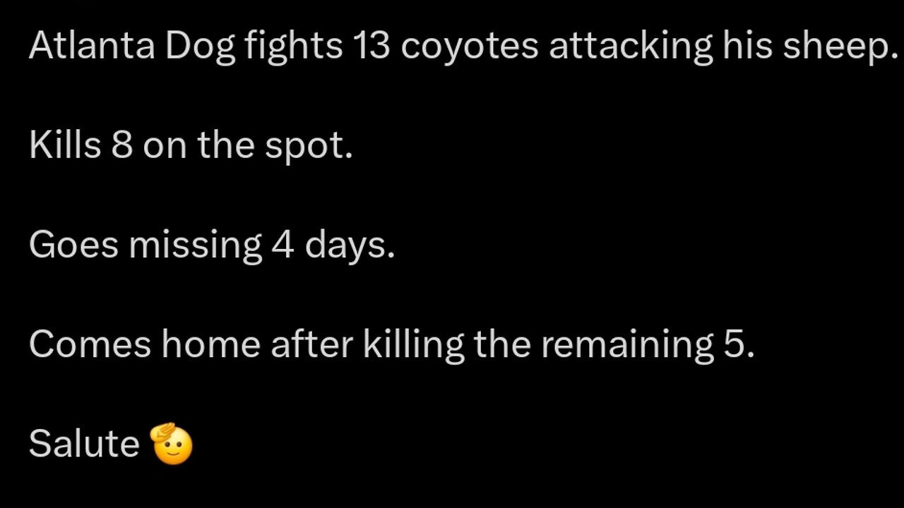 This dog is the definition of a warrior