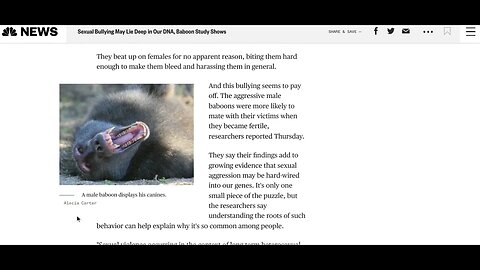 His Father The Baboon