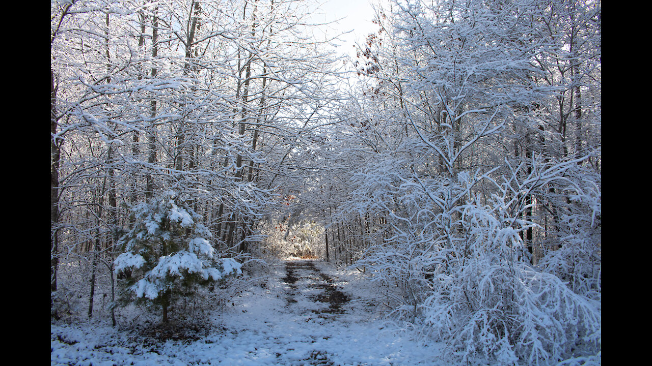 Snow From NC