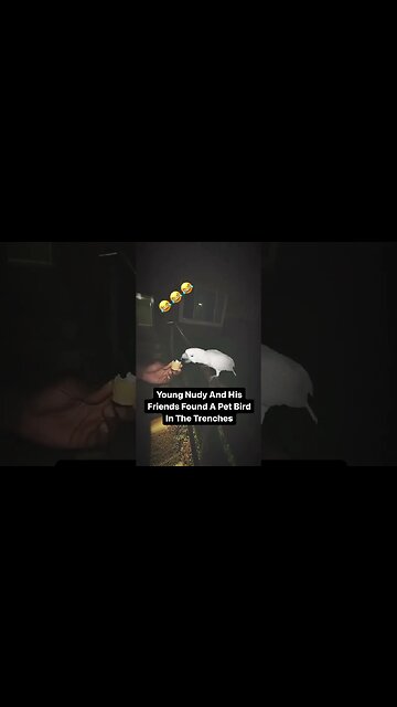 Young Nudy Feeding A Pet Bird He Found