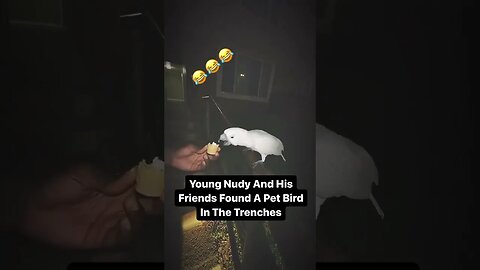 Young Nudy Feeding A Pet Bird He Found