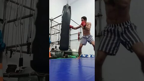 Punch Bag (60)