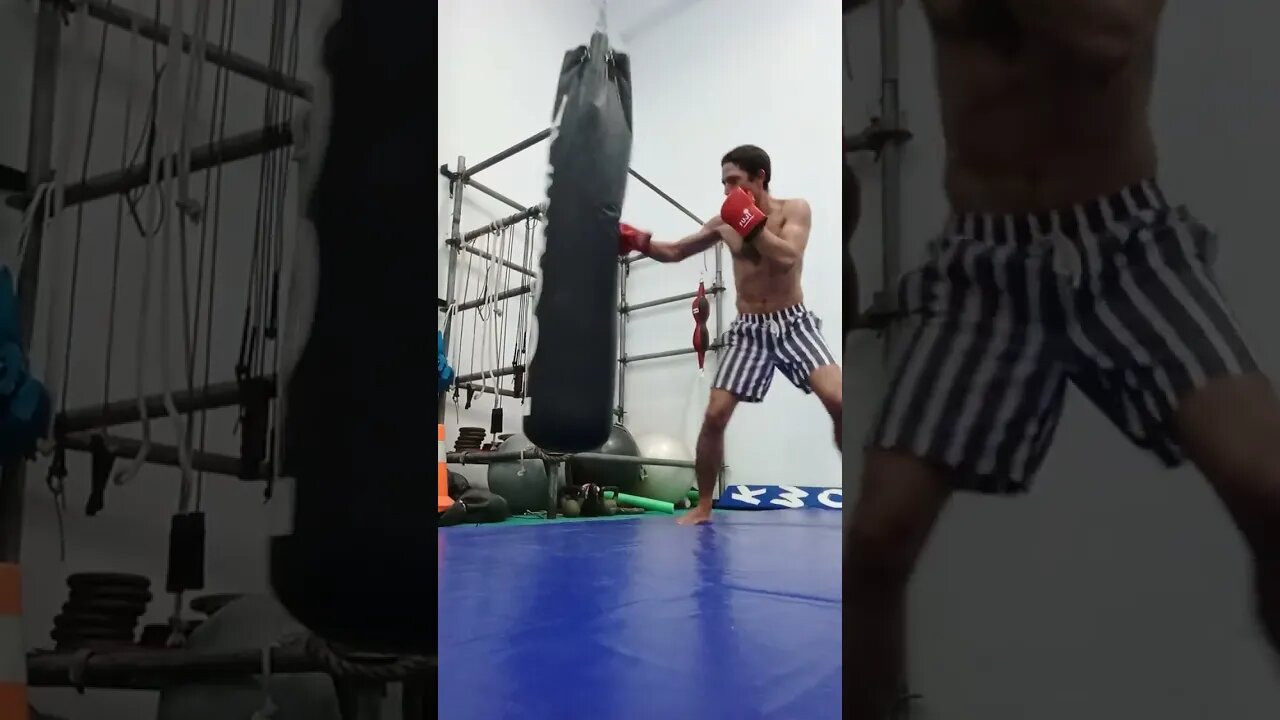 Punch Bag (60)
