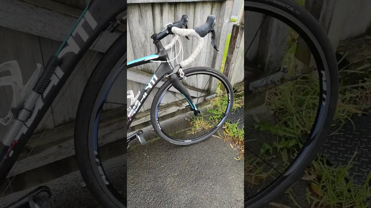 My two road bikes.