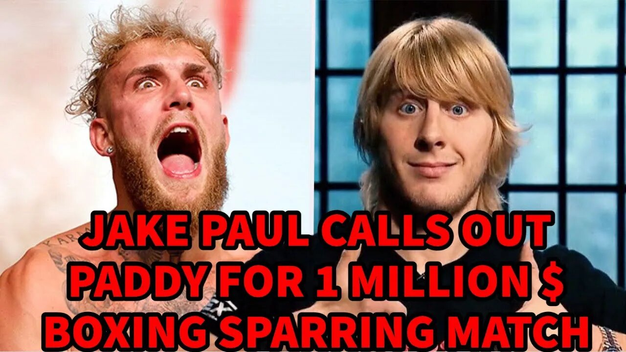 JAKE PAUL CALLS OUT PADDY FOR 1 MILLION $ BOXING SPARRING MATCH!?!!?