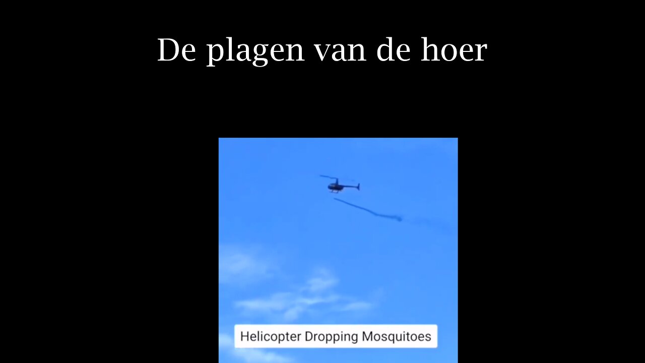 De plagen van de hoer