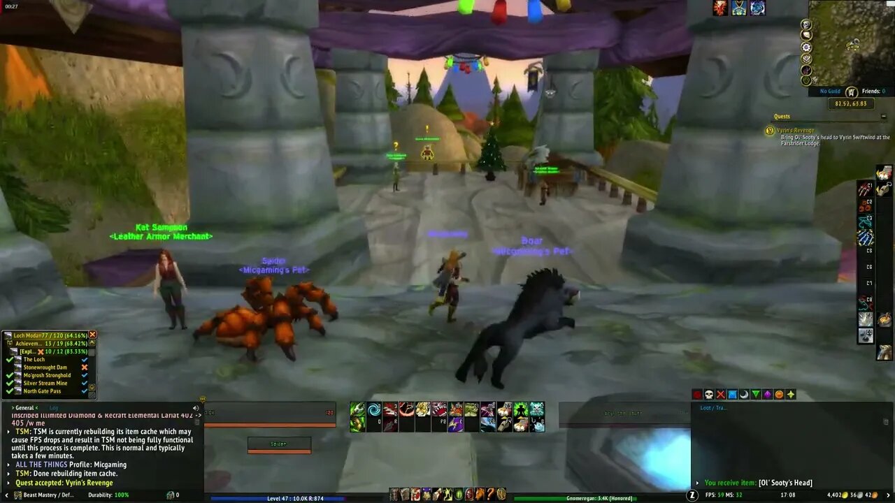 World of Warcraft Vyrin's Revenge