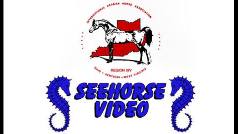 Region 14 Arabian & Half-Arabian Championships | Saturday Night