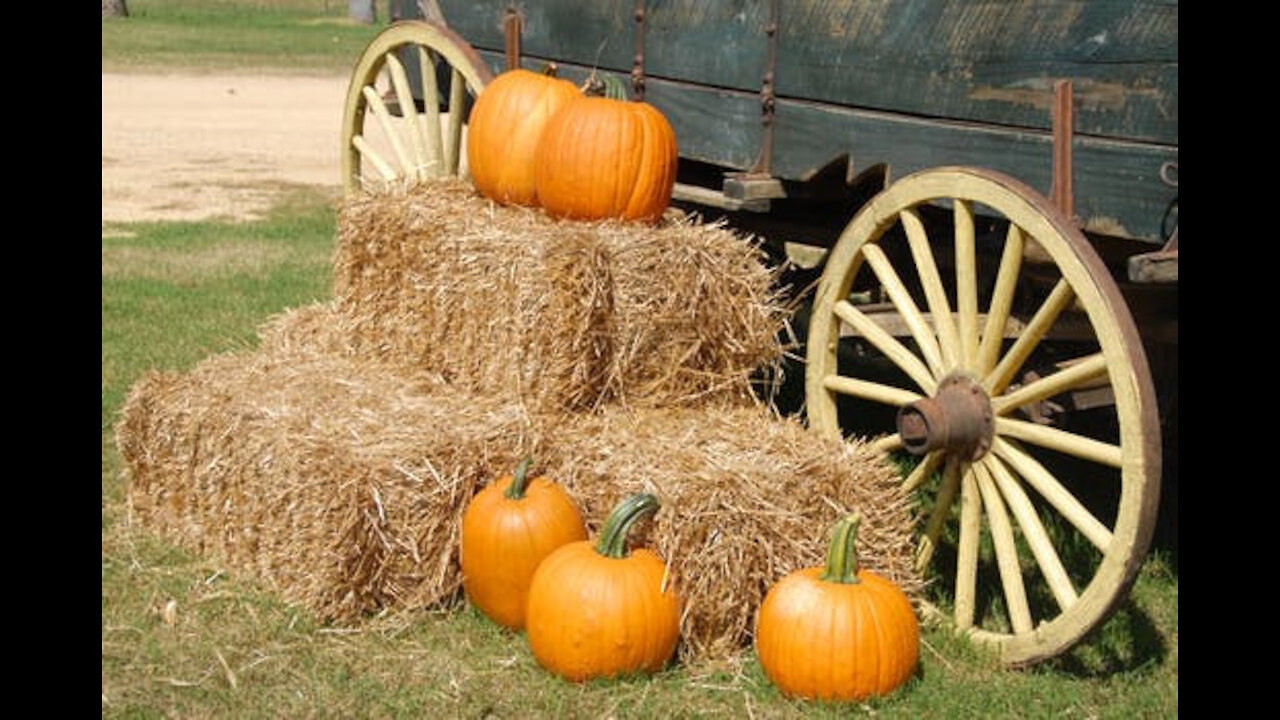 Antique Wooden Wagon Wheels for Sale