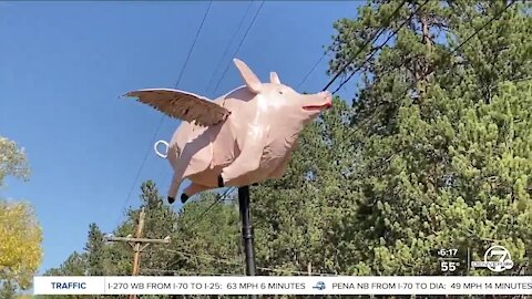 Jefferson County man hopes to slow speeding drivers with help from a flying pig