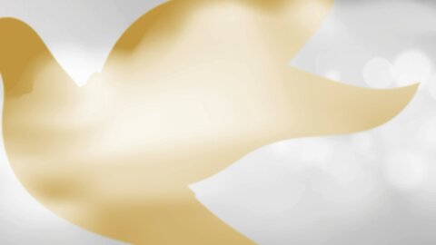 MENSAJE A LAS AUTORIDADES