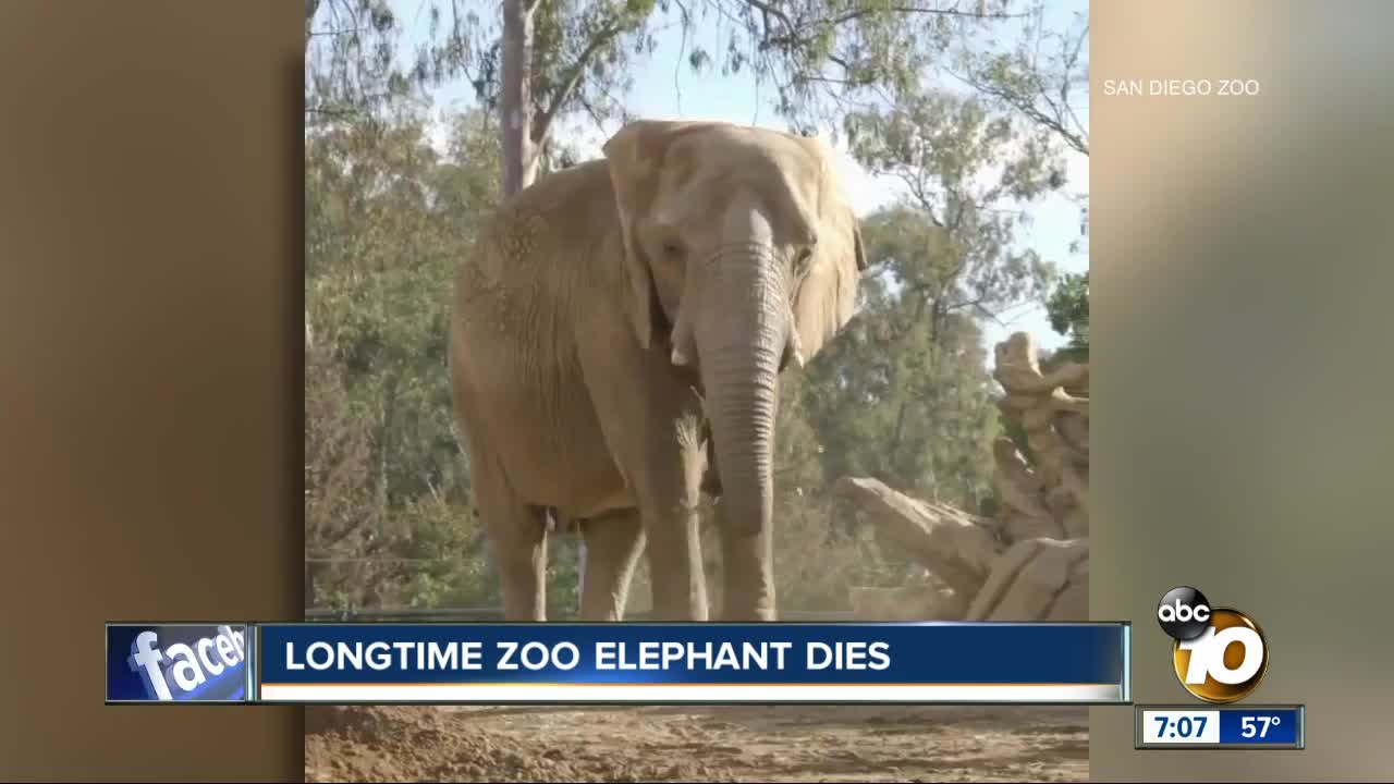 San Diego Zoo announces death of beloved elephant