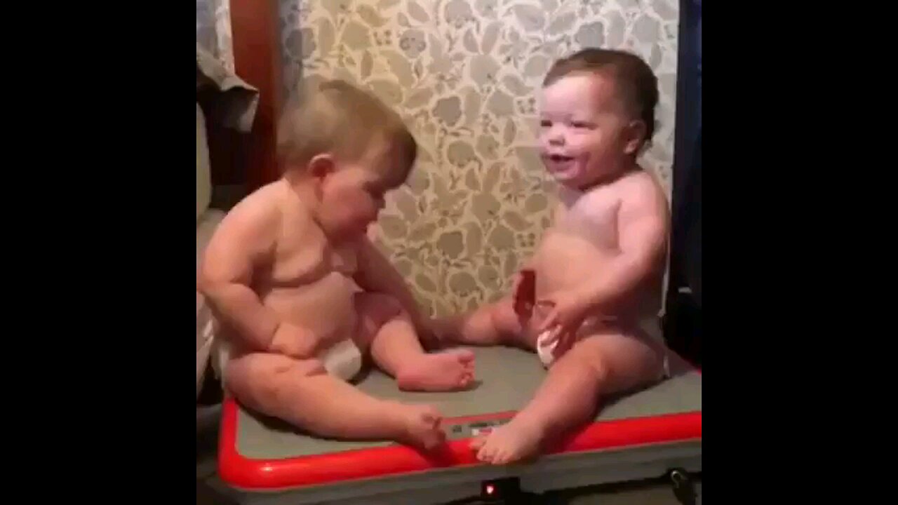 funny Babies