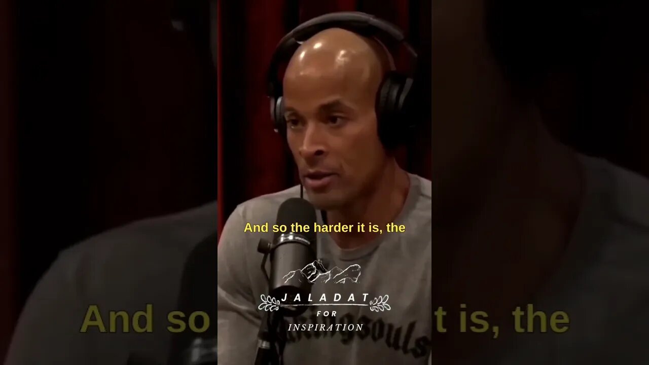 No Body Want's To Be Fat - Joe Rogan & David Goggins