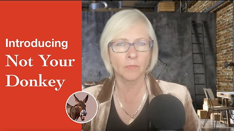Introducing NOT YOUR DONKEY