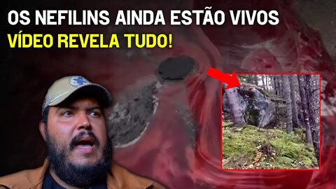 Nefilim petrificado ainda vivo - O segredo dos anjos e do mundo resetado