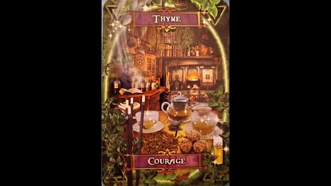 #45 Witches' Kitchen Oracle Cards Thyme