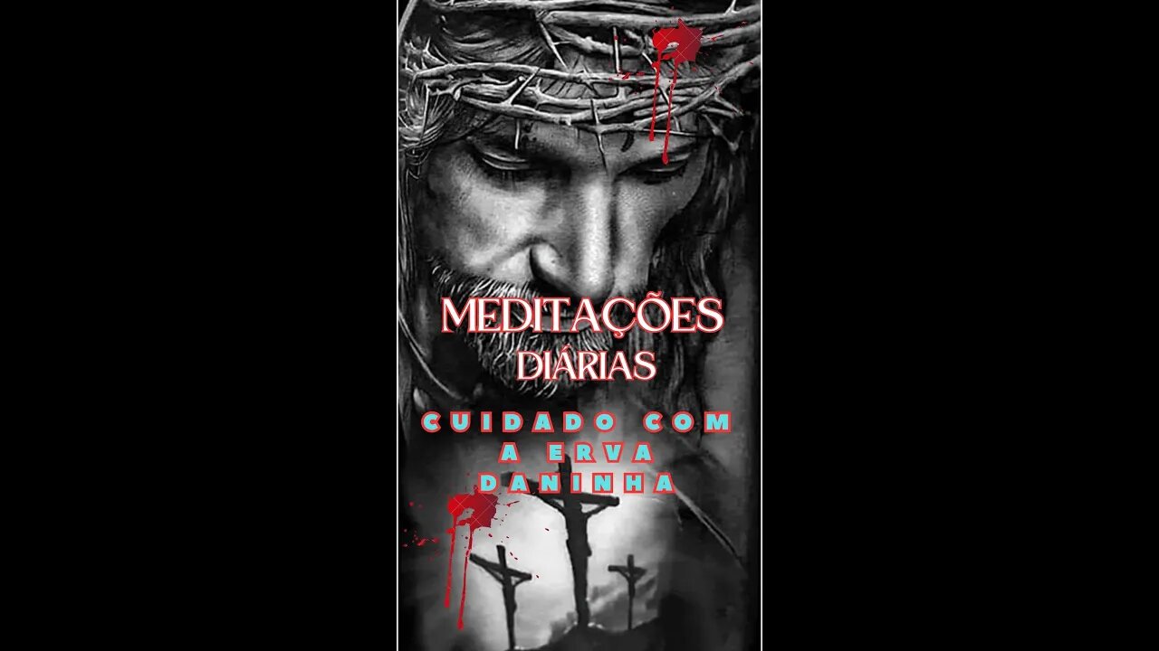 Cuidado com a erva daninha. Meditações diárias