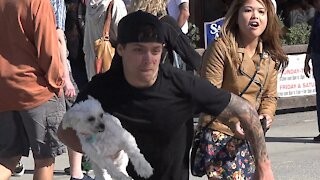 STEALING DOGS PRANK