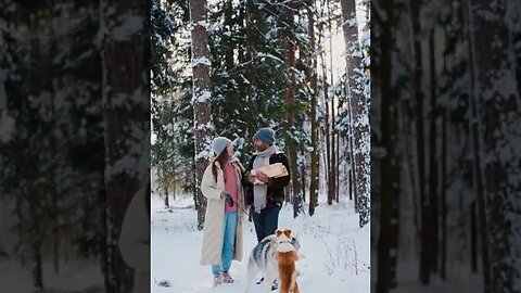 winter musti cute puppys(5)