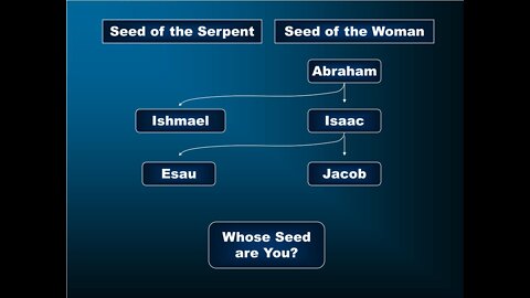 20220828 WHICH TYPE ARE YOU? AT AMMANUEL ETHIOPIAN EVANGELICAL CHURCH (MINISTER DEREK HALLETT)