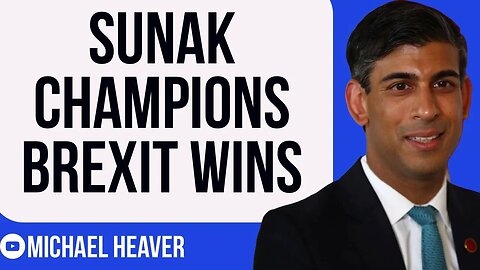 Rishi Sunak EXPOSES Remainer Establishment