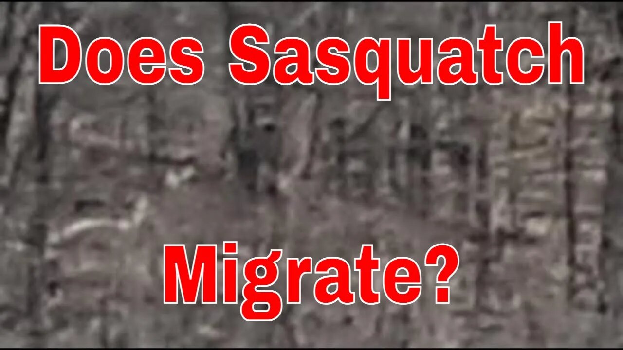 Does Sasquatch Migrate?