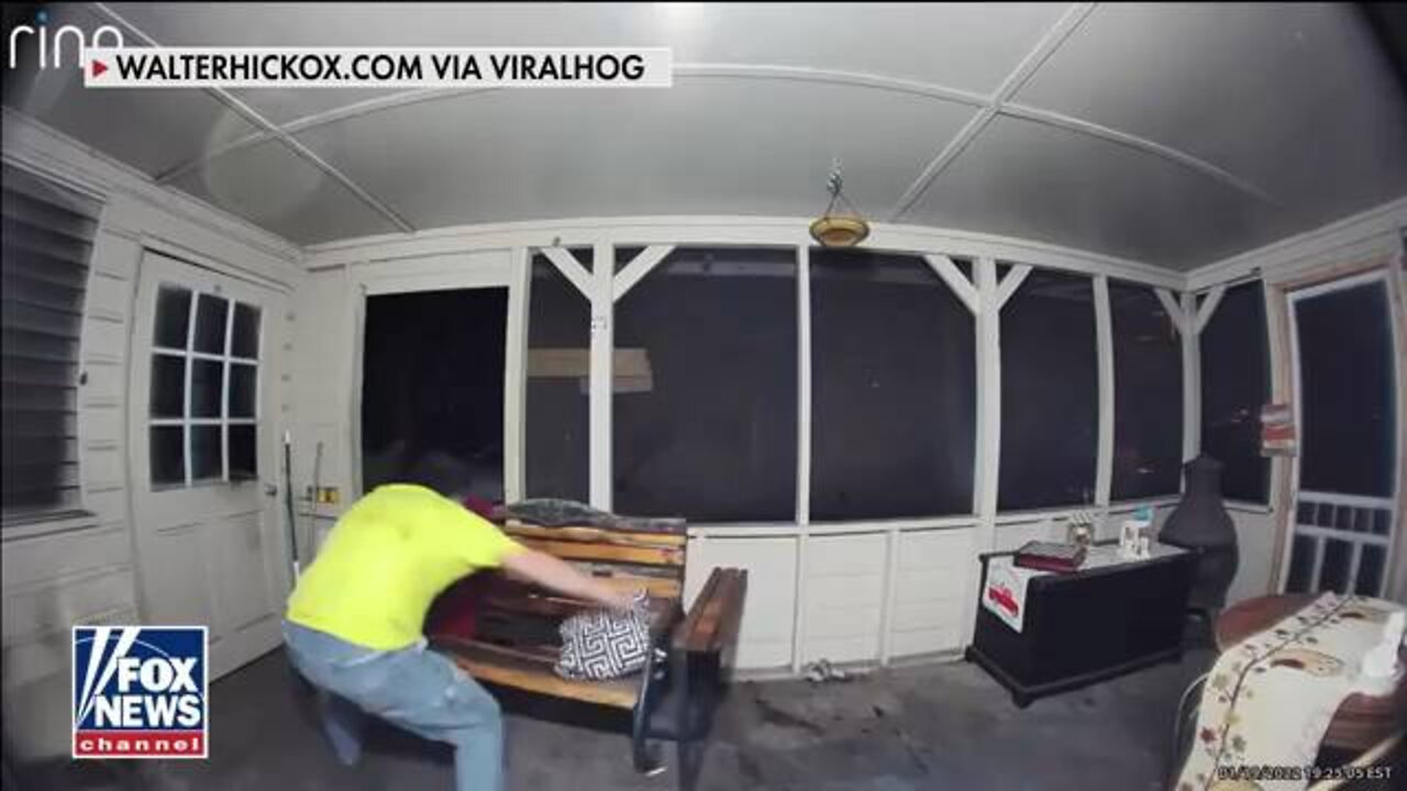 Florida man fights off bear to save dog