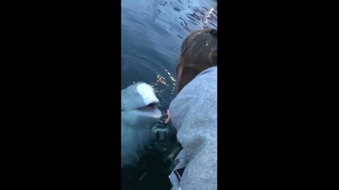 Rescue