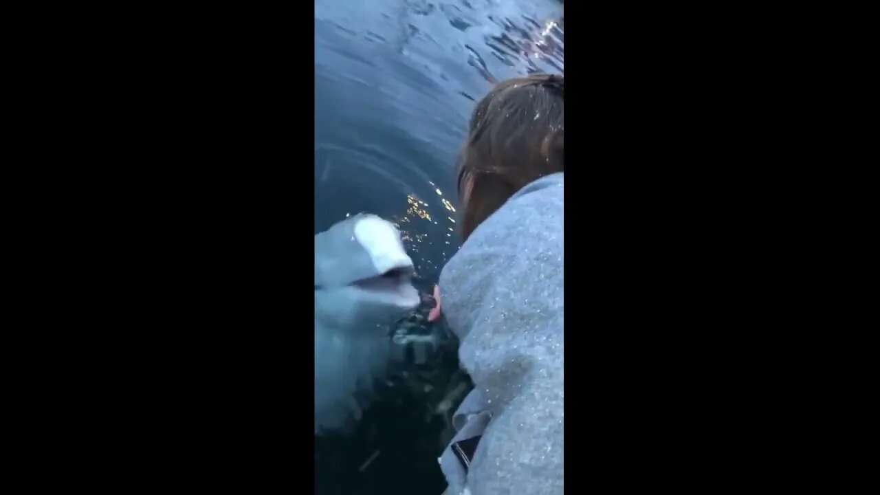 Rescue