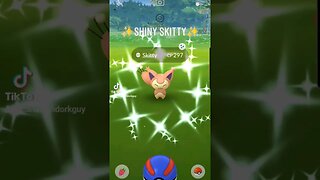 #shiny #skitty #skittyfam #pokemon #shinypokemon #pokemongo #shinyhunting #fyp #kitty #kittycat