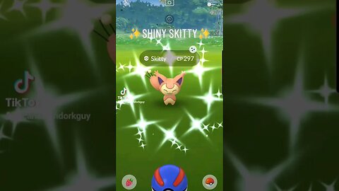 #shiny #skitty #skittyfam #pokemon #shinypokemon #pokemongo #shinyhunting #fyp #kitty #kittycat