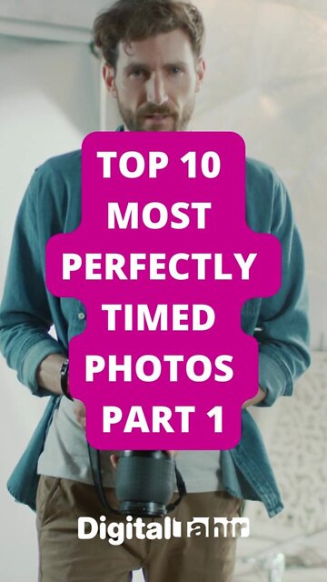Top 10 Most Perfectly Timed Photos PART 1