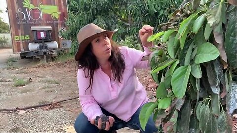 Mollie Engelhart - Fire!